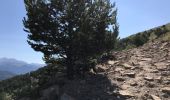 Tour Wandern Torla-Ordesa - Mont Pélopin 13 km - Photo 16