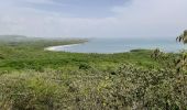 Excursión Senderismo Le Vauclin - Boucle Macabou via Morne Etoile - Photo 1