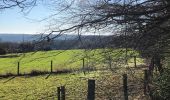 Tocht Stappen Seraing - De Boncelles à Roche aux faucons  - Photo 1