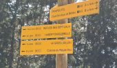 Trail Walking Les Adrets - LE GROS CAILLOU PAR LA COLONIE - Photo 6