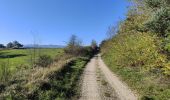 Randonnée Marche Périgneux - Boucle Marieux -Fressonnais - Photo 9