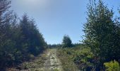 Excursión Senderismo Villers-la-Ville - VOV - promenade de Berines, par St Bernard et 4 chênes  - Photo 13