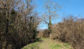 Trail Walking Cormery - Cormery gare - Tauxigny - 19.5km 170m 4h35 (40mn) - 2025 03 02 - Photo 8
