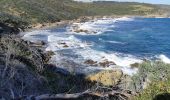 Excursión Senderismo La Croix-Valmer - Cap Lardier et Cap Taillat -  Boucle - Photo 4