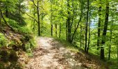 Trail Walking Bertrix - Auby sur Semois 070525 - Photo 20