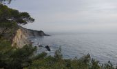 Tocht Stappen Ensuès-la-Redonne - laRedonne le grand Méjan - Photo 1