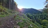 Tour Wandern Metzeral - Tour Steinabruck - Mittlach - Photo 17