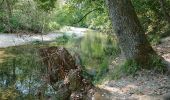 Tocht Noords wandelen La Colle-sur-Loup - le long du Loup  - Photo 11