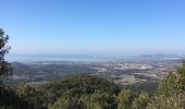 Randonnée Marche La Londe-les-Maures - Les barrages de la Londe - Photo 3