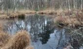 Tour Wandern Fontainebleau - Cuvier-Chatillon, Balade des Mares - Photo 2