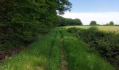 Tour Wandern Momignies - Macquenoise 170621 - Photo 3