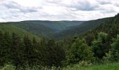 Trail On foot Schleusingen - Panoramaring - Photo 4