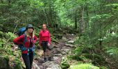 Tour Wandern Montriond - Lac de Montrillon  sous la pluie - Photo 11