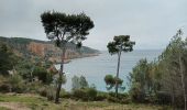 Tour Wandern Saint-Cyr-sur-Mer - Dune de sable-St Cyr sur Mer-11-03-22 - Photo 1