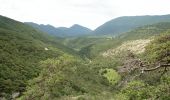 Tocht Stappen Saint-Julien-en-Quint - Bec Pointu - Les Glovins - St-Julien-en-Quint - Photo 5