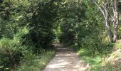 Tour Wandern Saint-Pierre-de-Chartreuse - Col de Pravouta en boucle - Photo 10