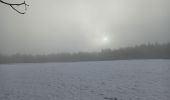 Tour Wandern Le Val-d'Ajol - 16-01-22 autour de la cascade de Faymont - Photo 4