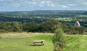 Tocht Stappen Doville - Mont doville  - Photo 5