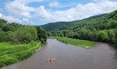 Tour Wandern Vresse-sur-Semois - rando 20 -05-2024 laforêt - Photo 8