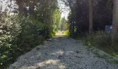 Trail Walking Binche - randonnee éphémère de Binche  - Photo 2
