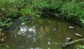 Tour Wandern Somme-Leuze - baillonville à la saison du chèvrefeuille  - Photo 7
