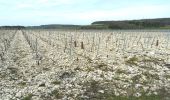 Tour Wandern Coulanges-la-Vineuse - AVF Coulanges - Photo 2