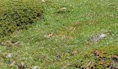 Tocht Stappen Pralognan-la-Vanoise - Tour de l''aiguille de la Vanoise - Photo 16