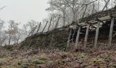 Excursión Senderismo Houffalize - promenade du hérou - Photo 7