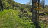 Randonnée Marche Valencisse - Valencisse-Molineuf - Circuit de Coquine - Photo 17