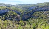 Randonnée Marche Monieux - gorge de la Nesque via GR9 - Photo 17
