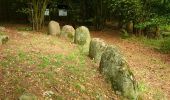 Tour Zu Fuß Stubbendorf - Stubbendorf-Liepen - Photo 3