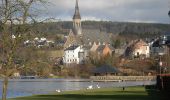 Tour Zu Fuß Vielsalm - Vielsalm bleu - Photo 10