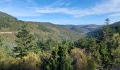 Trail Walking Minerve - Les dolmens de Vieulac - Photo 14