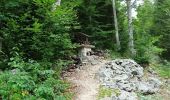 Tocht Stappen Autrans-Méaudre en Vercors - Le Bec de L'Orient - Photo 2