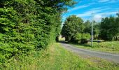 Tour Wandern Naveil - Circuit au lieu-dit Bordebeure Marcilly-en-Beauce - Photo 8