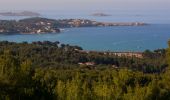 Randonnée Marche Sanary-sur-Mer - Sanary - Les grottes du Gros Cerveau - Photo 4