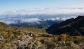 Trail Walking Ilha - Madère : vers le Pico Ruevo sommet de l'île - Photo 3