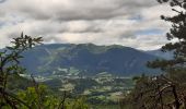 Trail Walking Die - Col de Bergu  - Photo 8