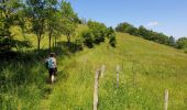 Tocht Stappen Labaroche - Autour du château du Petit Hohnack - Photo 18