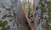 Trail Walking Fontainebleau - Fontainebleau - Sentier des carriers - Photo 1