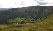 Trail Walking Orbey - Tour des 3 lacs (lac noir, blanc, Forlet) Vosges - Photo 5