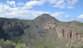 Percorso A piedi Santa Brígida - Camino Borde de Caldera - Photo 4