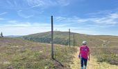 Trail Walking Saint-Pierre-la-Bourlhonne - Col du Beal  - Photo 2