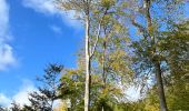 Tour Wandern Overijse - #221024 - Jesus-Eik, Arboretum, Kapucijnenbos - Photo 16