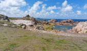 Tour Wandern Île-de-Bréhat - JOURNEE A L'ILE DE BREHAT - Photo 7