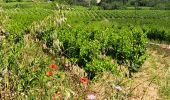 Randonnée Marche Roquebrun - Les ayrolles depuis Ceps - Photo 6