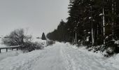 Tour Wandern Weismes - entre botrange et bois de sourbrodt - Photo 9