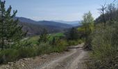 Trail Walking Noyers-sur-Jabron - Boucle Jarjaye - Piedguichard - Photo 1