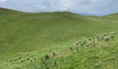 Trail Walking Saint-Dalmas-le-Selvage - Mercantour : Col des Fourches  - Photo 6