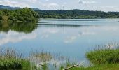 Tour Wandern Samognat - Nantua  - Photo 1